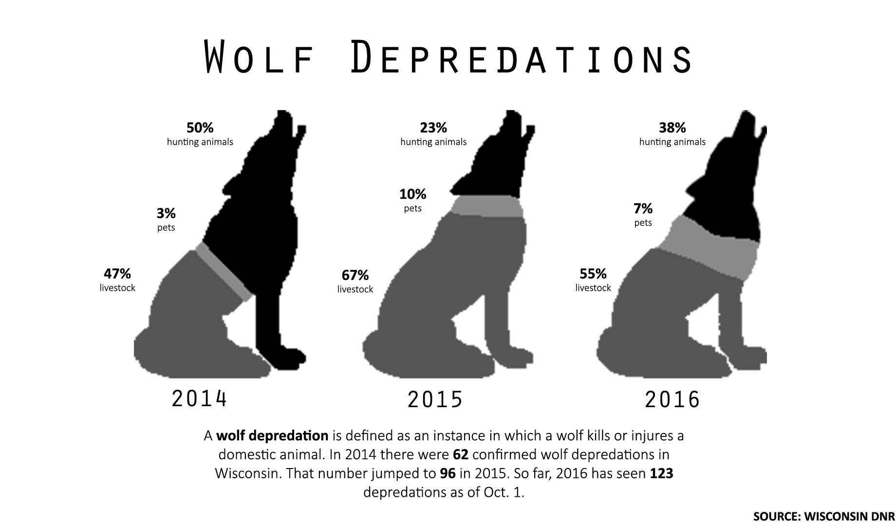 Gray Wolf Population In Wisconsin Maintained Even During Hunting