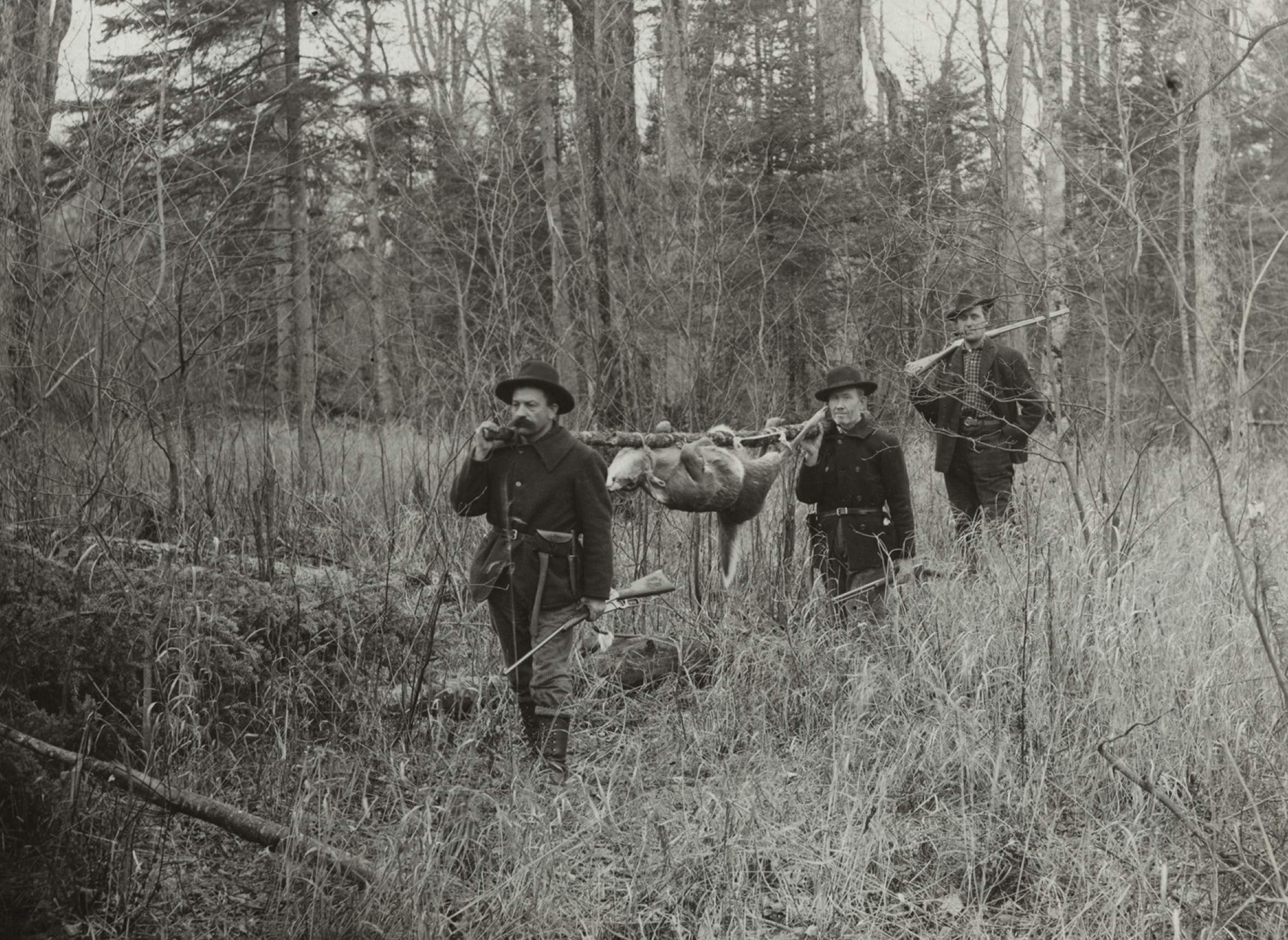 When Deer Hunting In Wisconsin Shifted From Slaughter To Sport WisContext