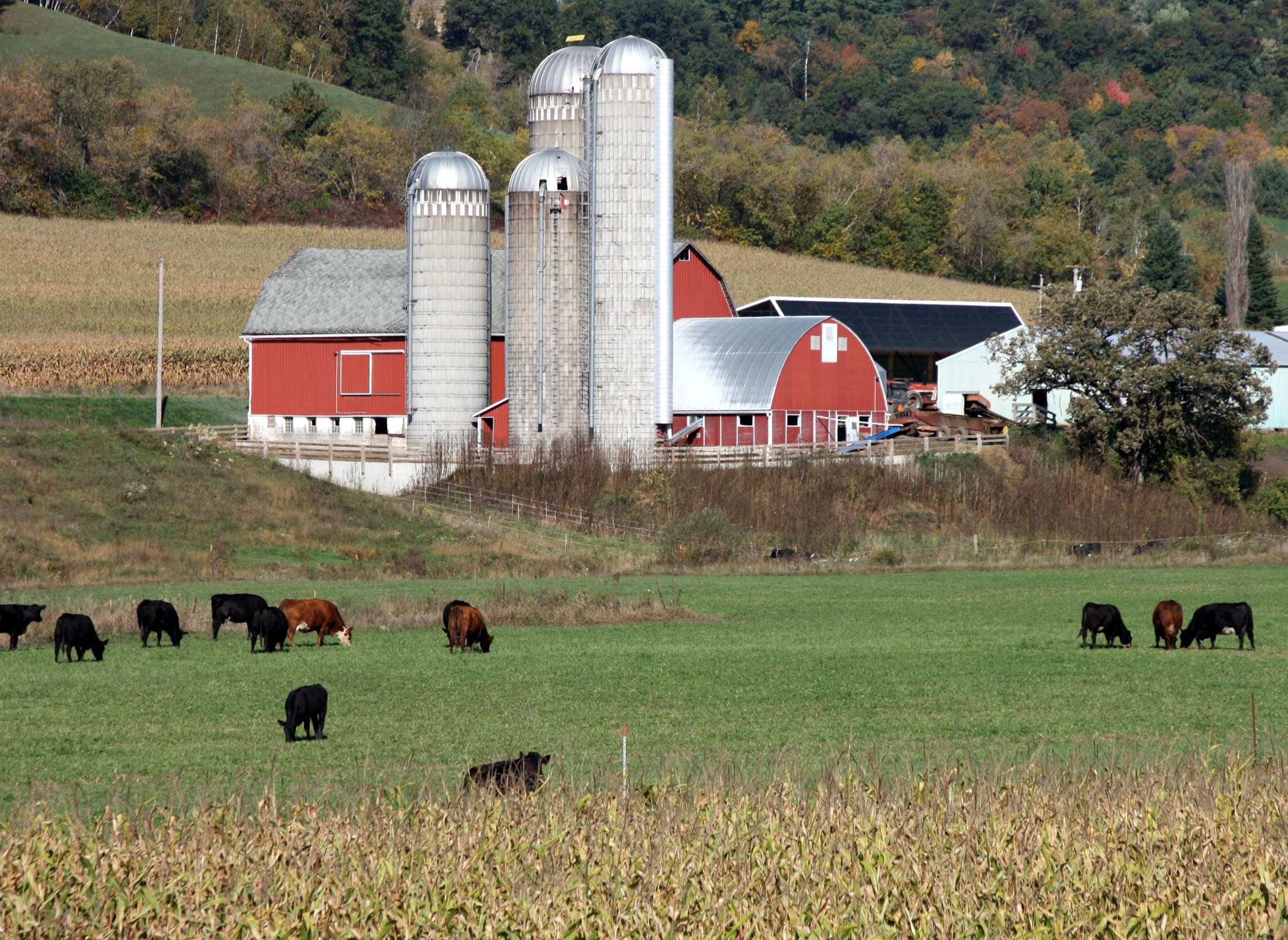 Wisconsin Loses Nearly 400 Dairy Farms Since 2015 | WisContext