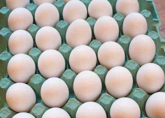 Eggs