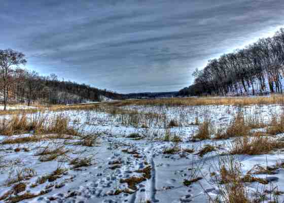 Winter tundra along ice age trail