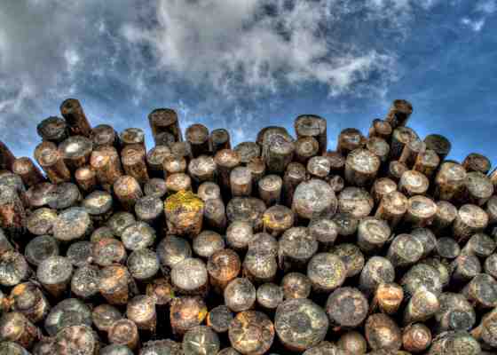 Logs