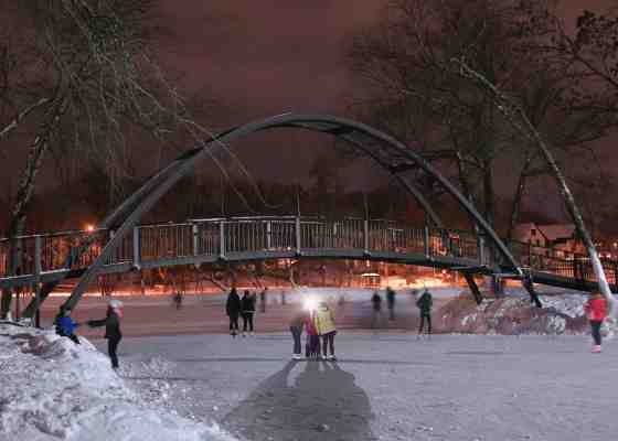 Ice skaters in Madison