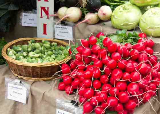 radishes
