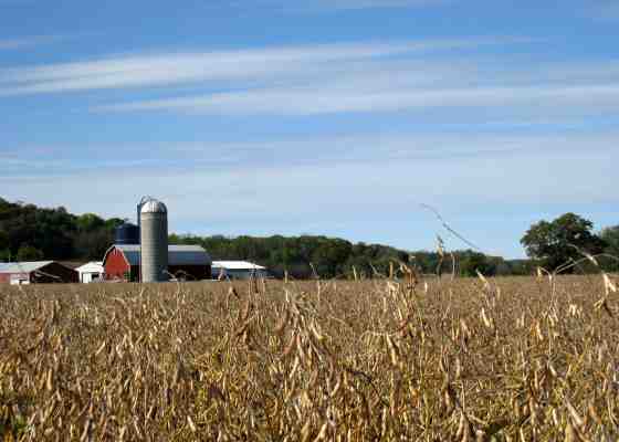Farm succession planning